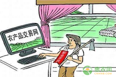 數(shù)字技術(shù)賦能，郵路變富路 中國郵政電商精準扶貧引領(lǐng)返鄉(xiāng)創(chuàng)業(yè)新浪潮